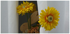 Unsere Specials